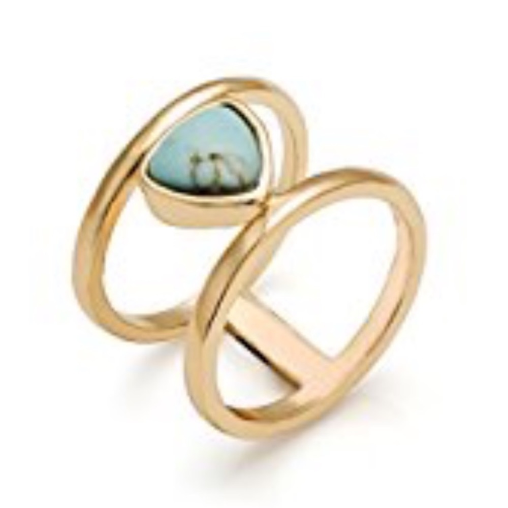 Double band turquoise gold ring