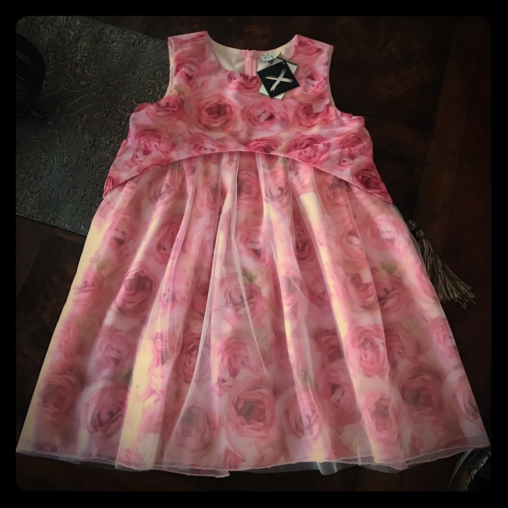 ‼️last chance ‼️ lovely Zoe dress