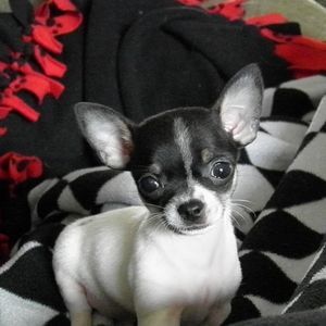 Meet your Posher, Tina