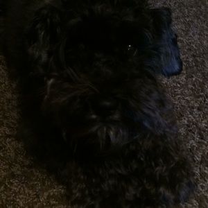 New Rae Halloween bowl