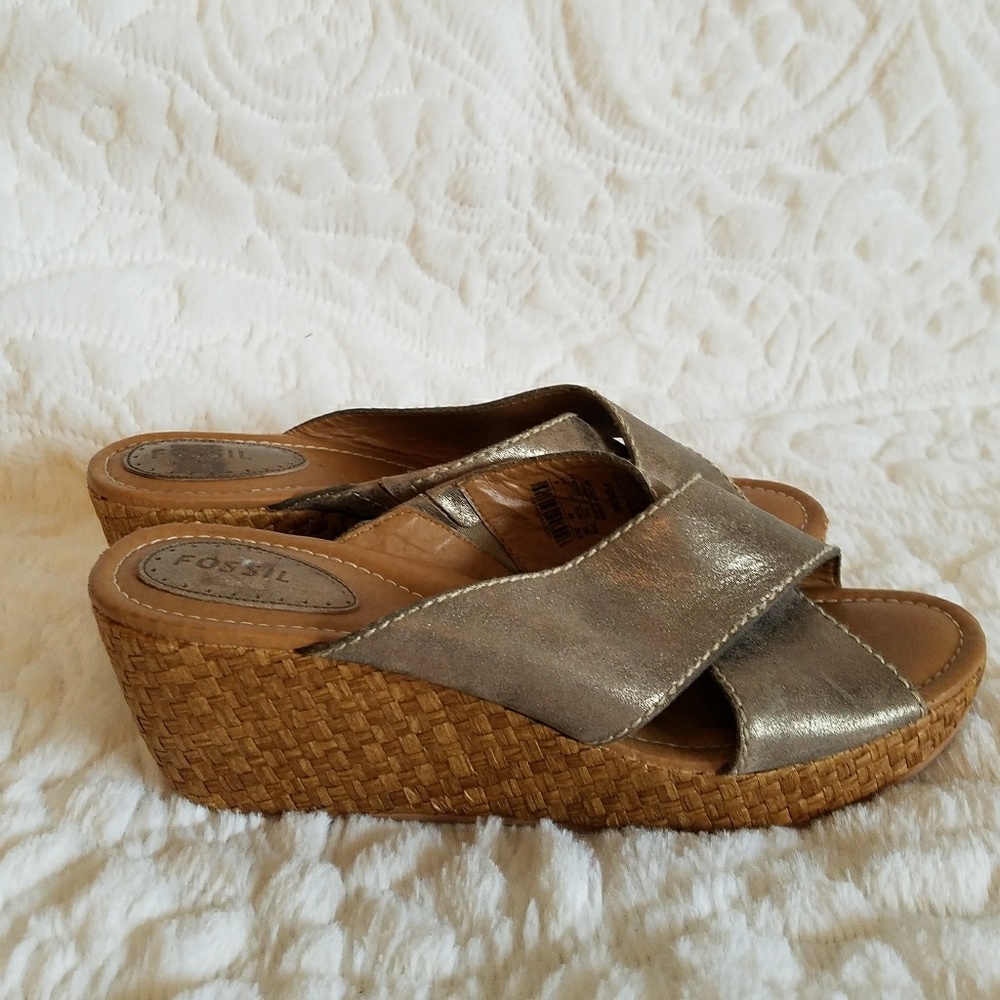 Fossil Wedges