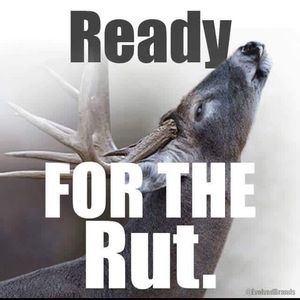 Meet your Posher, Chase