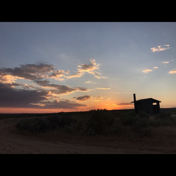 Meet your Posher, Tino - Picture 1 of 1