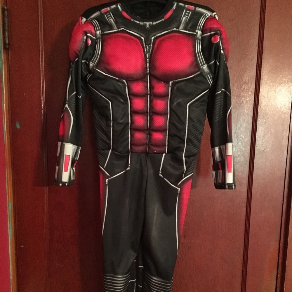 Antman costume