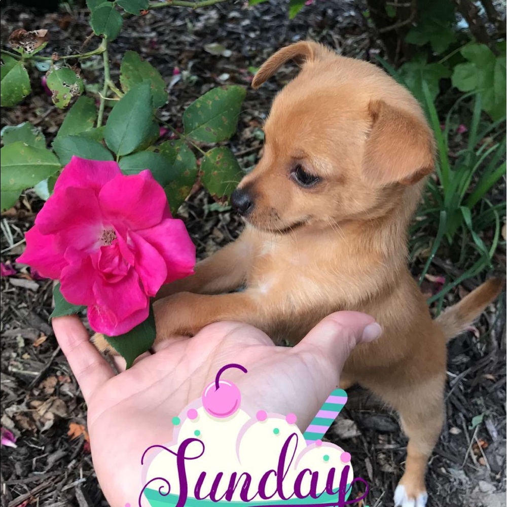 Meet your Posher, Brenda