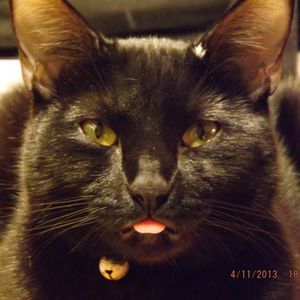 Meet your Posher, Judy