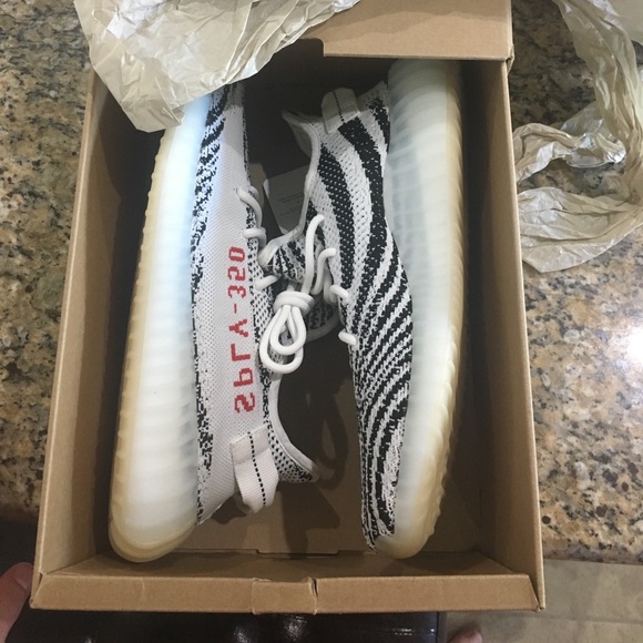 Yeezy Zebra 10.5 dead stock - Picture 3 of 8