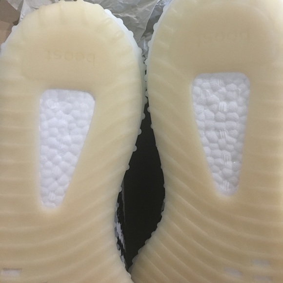 Yeezy Zebra 10.5 dead stock - Picture 4 of 8