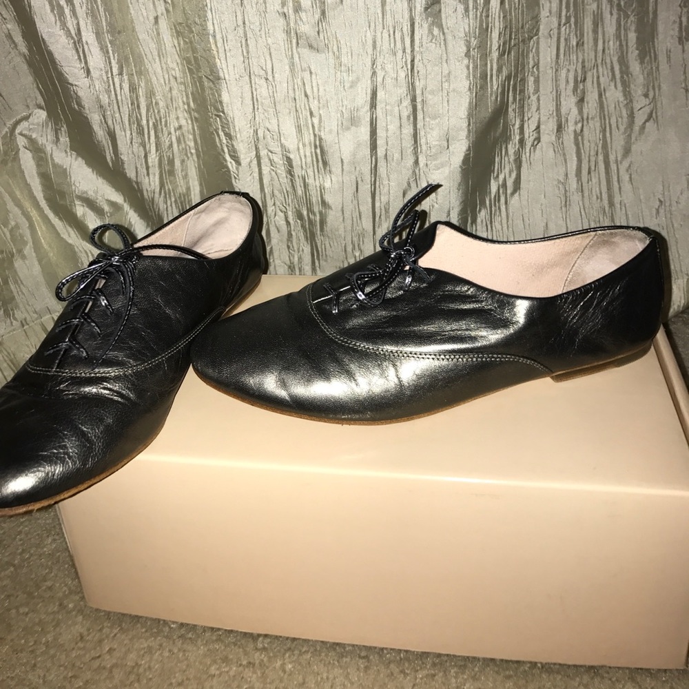 Metallic shoe