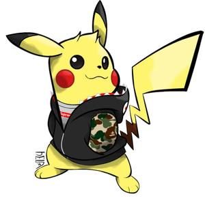 Meet your Posher, Bryce