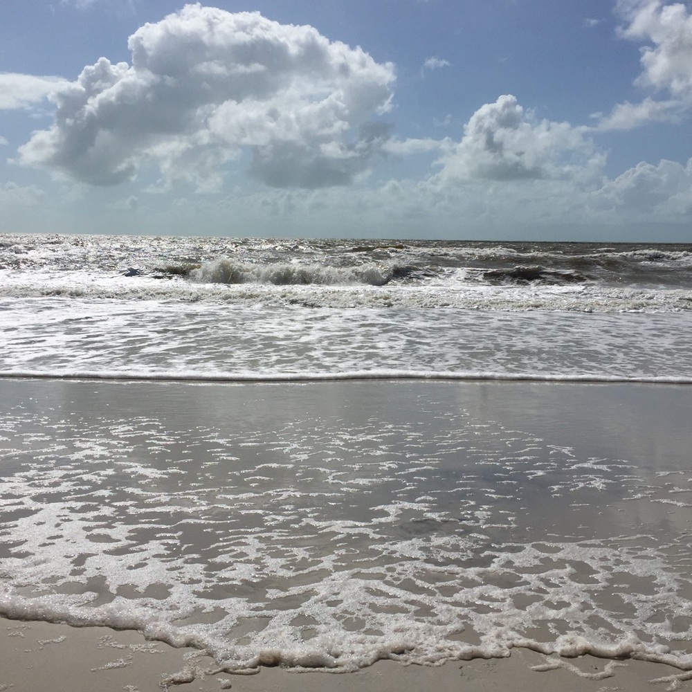 Meet your Posher, Anita