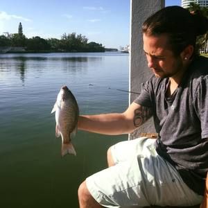 Meet your Posher, Rodney