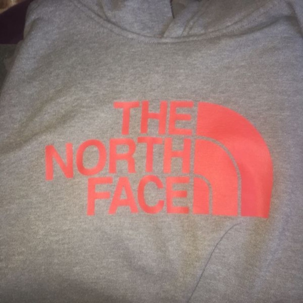 The north face Hoodie