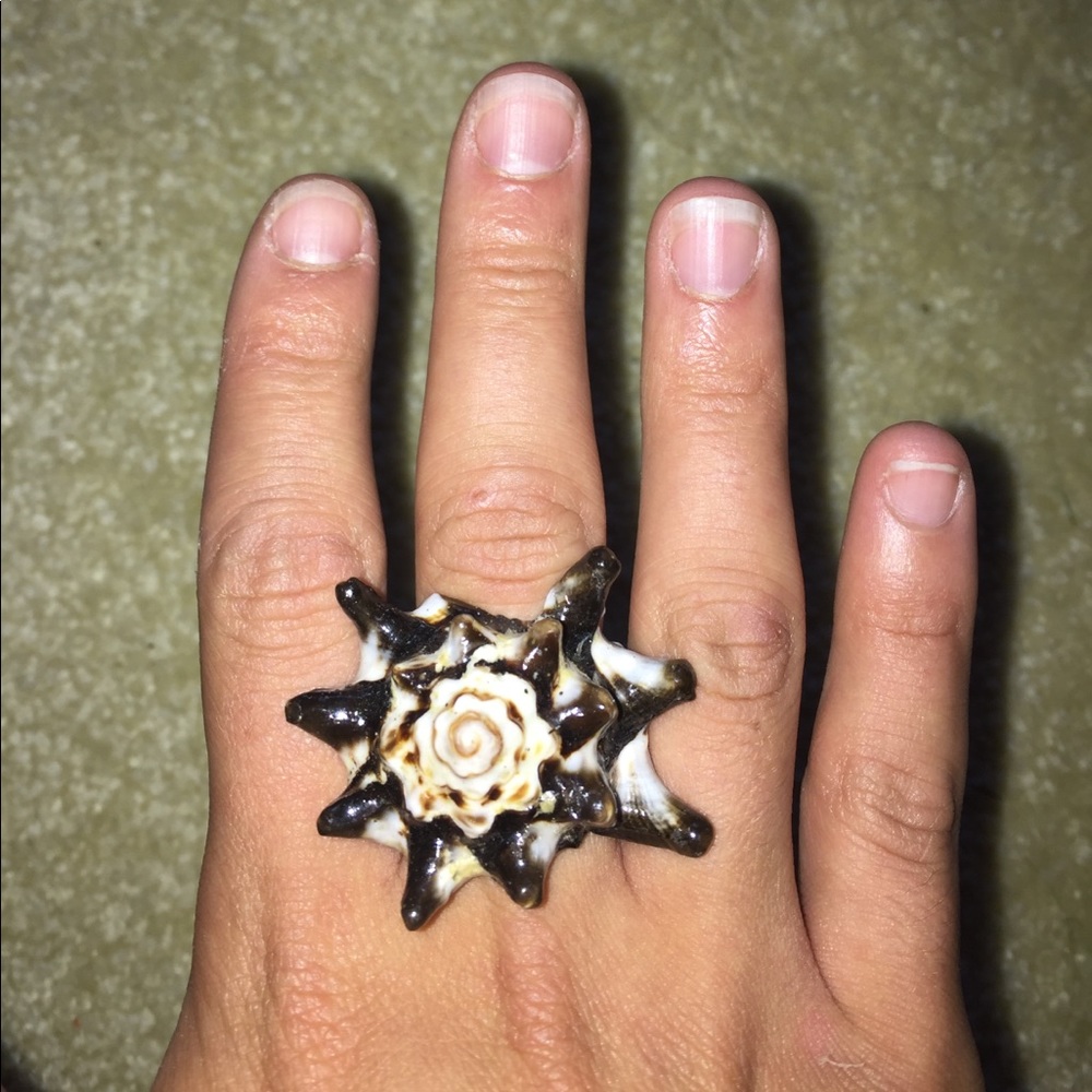 Conch Shell Ring Sz 8.5