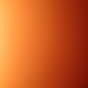 Meet your Posher, Marsha