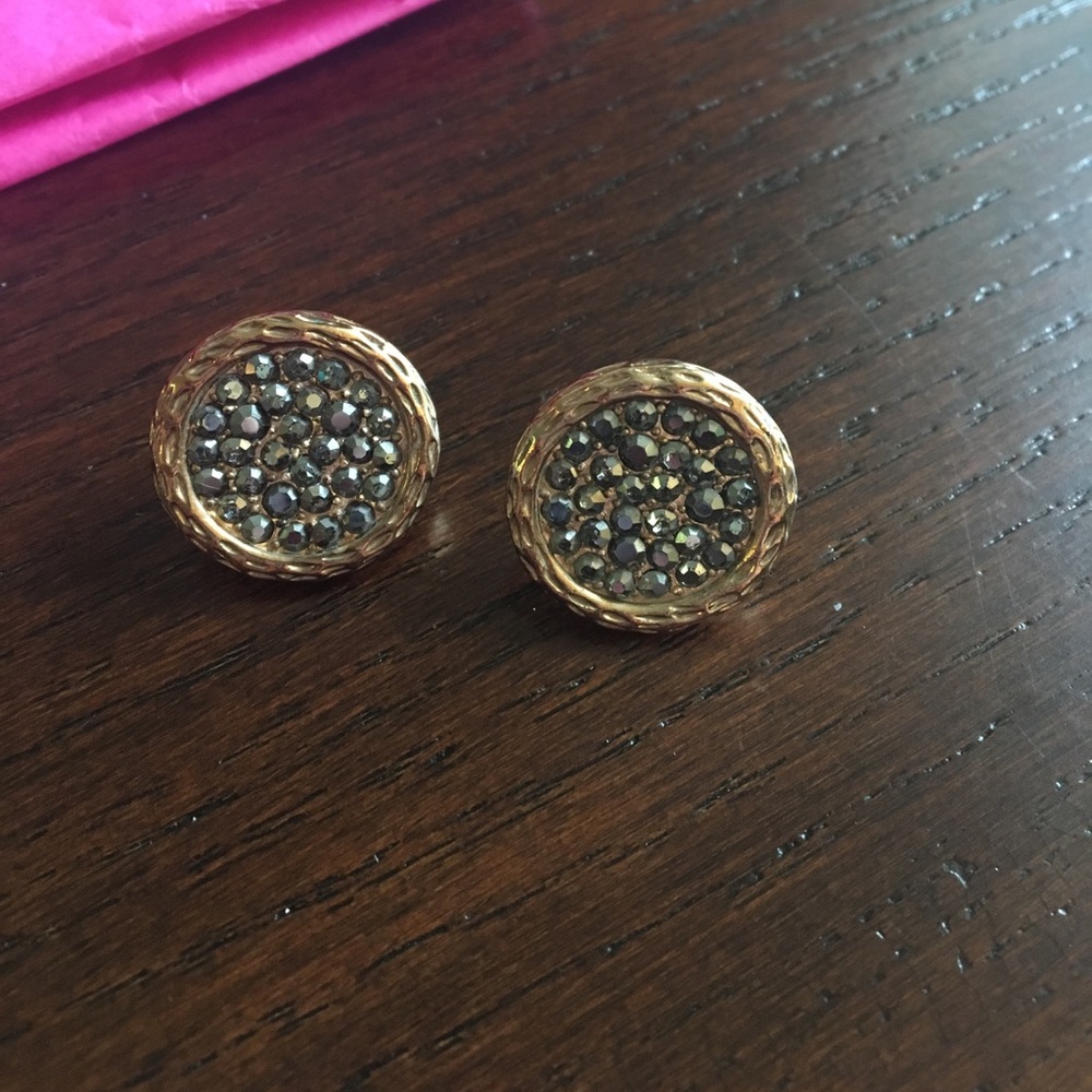 Glitter and Gold clasp Earrings