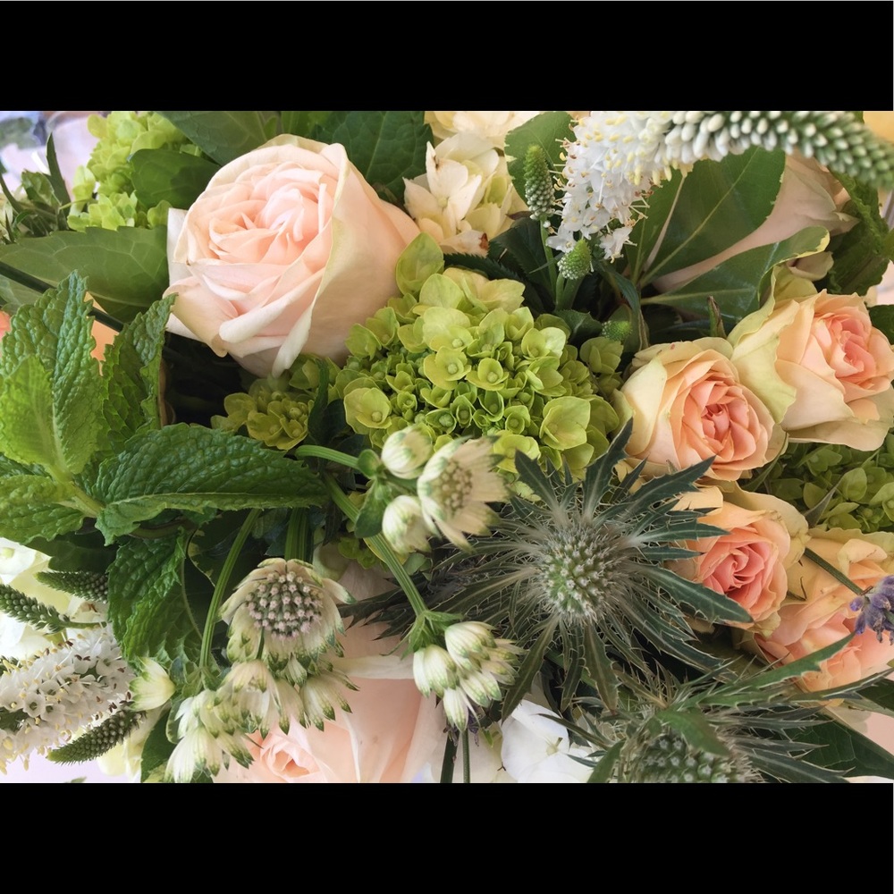 Meet your Posher, Kim