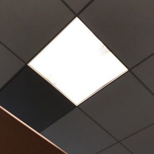 Meet your Posher, Sungeun