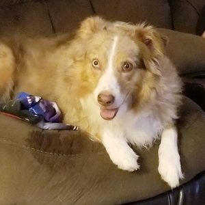 Meet your Posher, Pamela