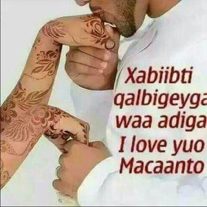 Meet your Posher, Hamdi