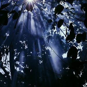 Meet your Posher, Nariah