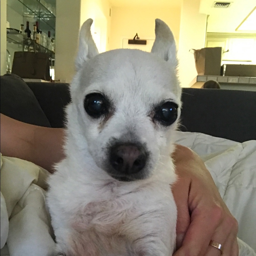 Meet your Posher, Elizabeth