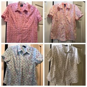 Bundle of 4 Button Downs