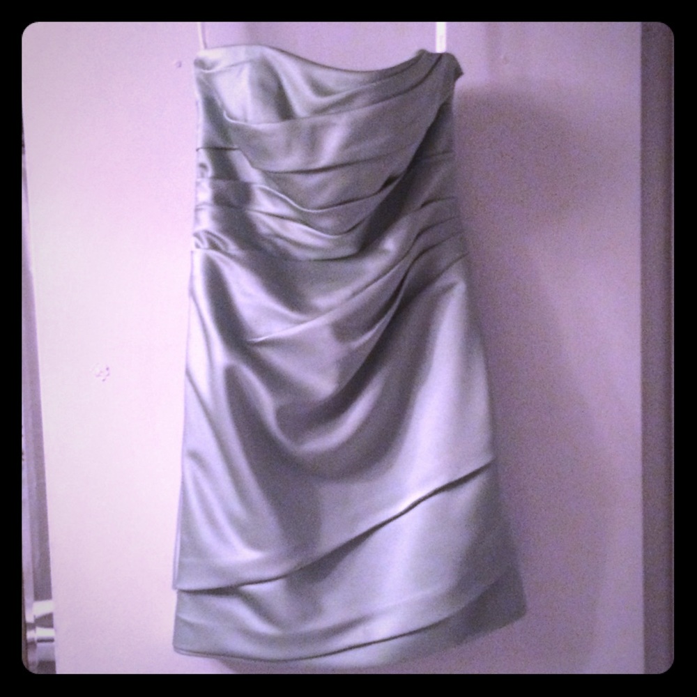 Strapless Bridesmaid Dress(from David's Bridal)