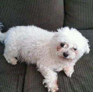 Meet your Posher, Rosina