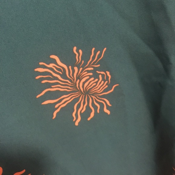 Brand new loft dress - Picture 3 of 3