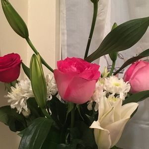 Meet your Posher, Renatha