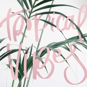 Meet your Posher, Layla