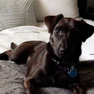 Meet your Posher, Tyler