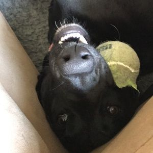 Meet your Posher, Chloe