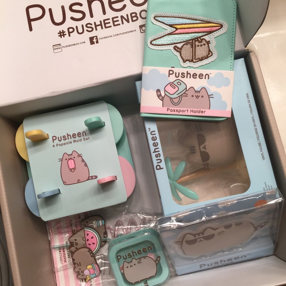 Pusheen Box Items