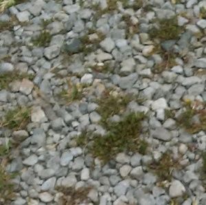 Meet your Posher, Sean