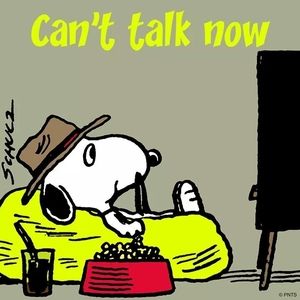 Meet your Posher, Patricia