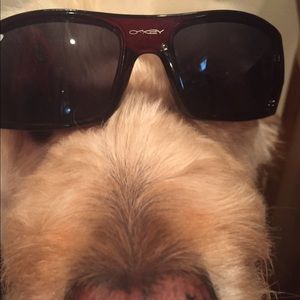 Meet your Posher, Graham