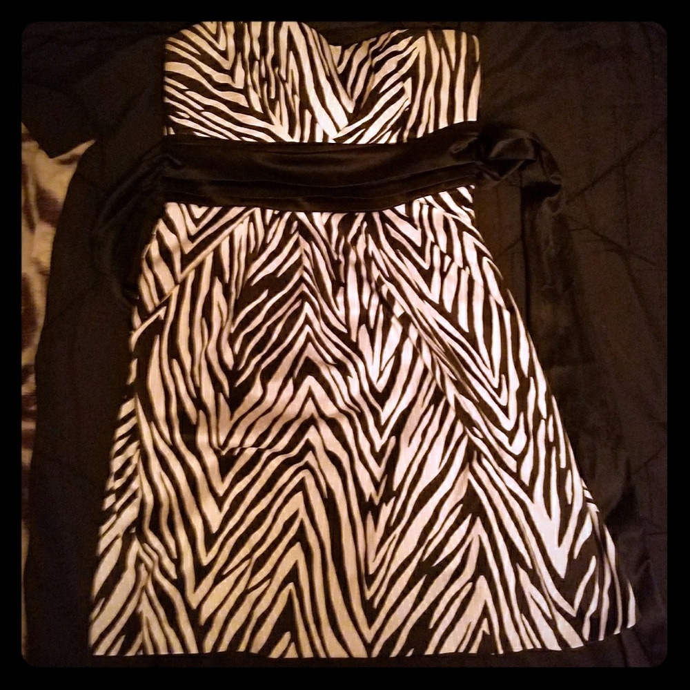 Zebra dress