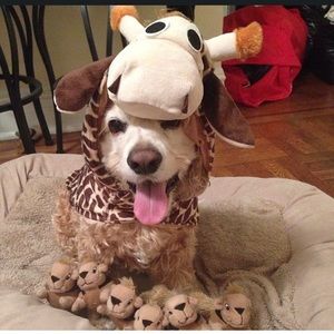 Giraffe Halloween dog costume