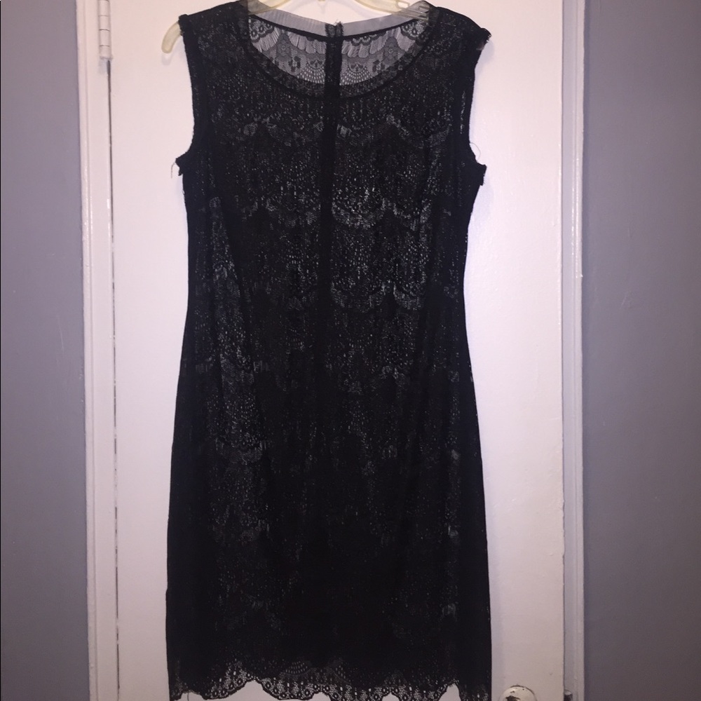 Sheer Sleeveless Lace Dress.