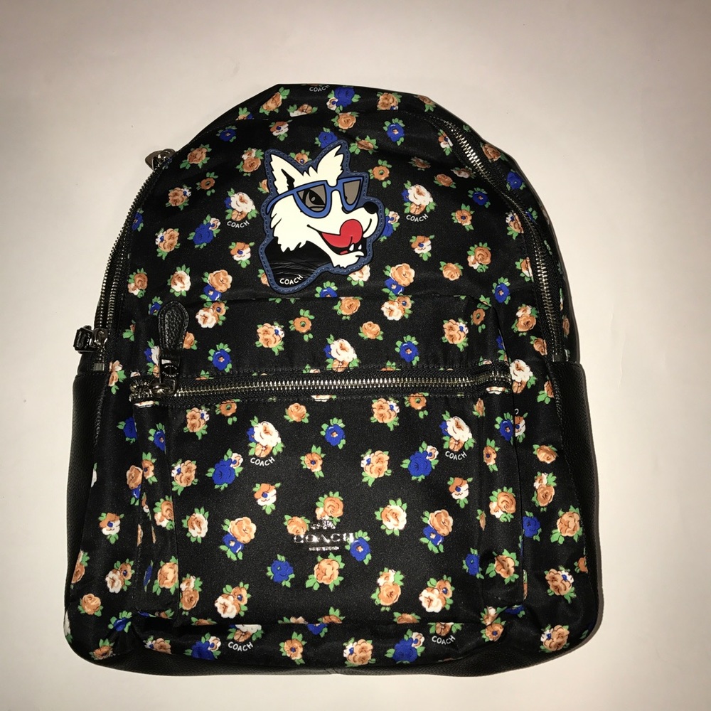 Coach Knapsack