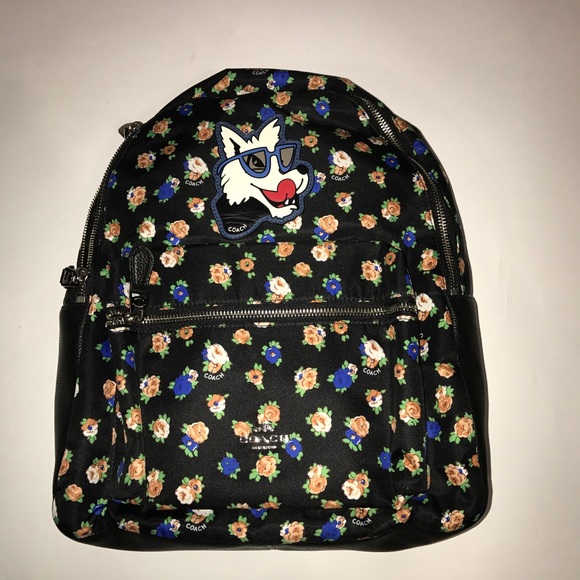 Coach Knapsack main image 6
