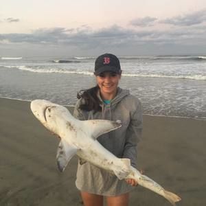 Meet your Posher, Morgan