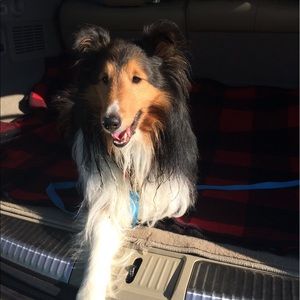 Meet your Posher, Sonja