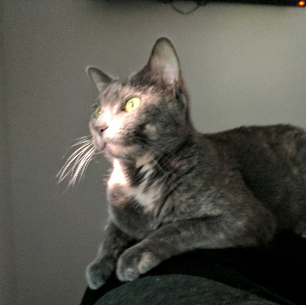 Meet your Posher, Martha