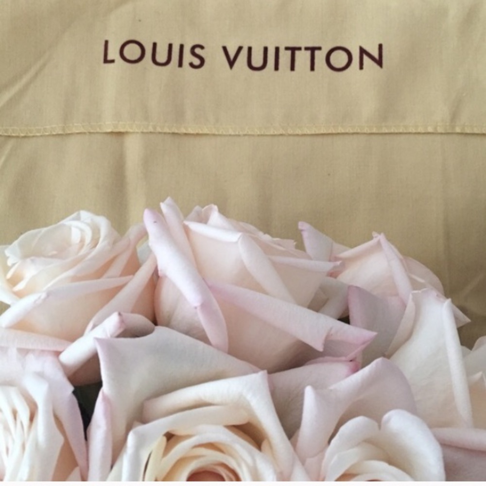 Louis Louis 🍃💕🍃