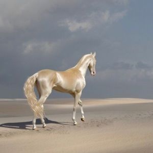 Meet your Posher, Stacy