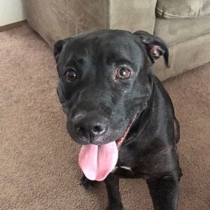 Meet your Posher, Raygina