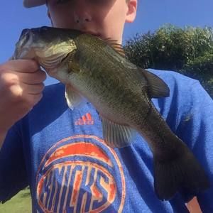 Meet your Posher, Nate